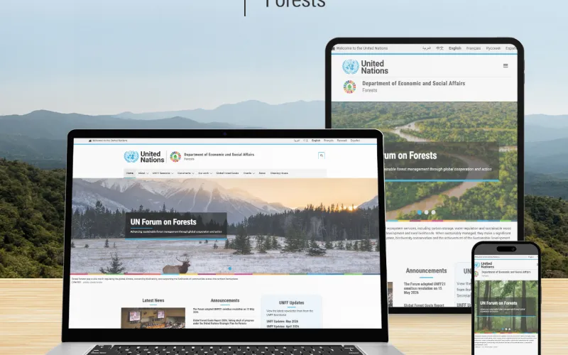 United Nations Forum on Forests