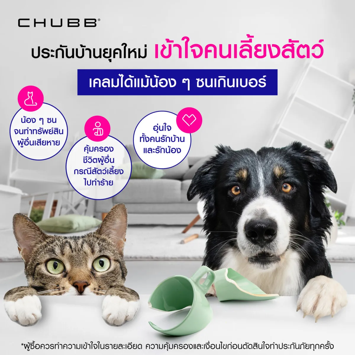 Chubb Thailand Facebook post: home insurance that covers damage by pets