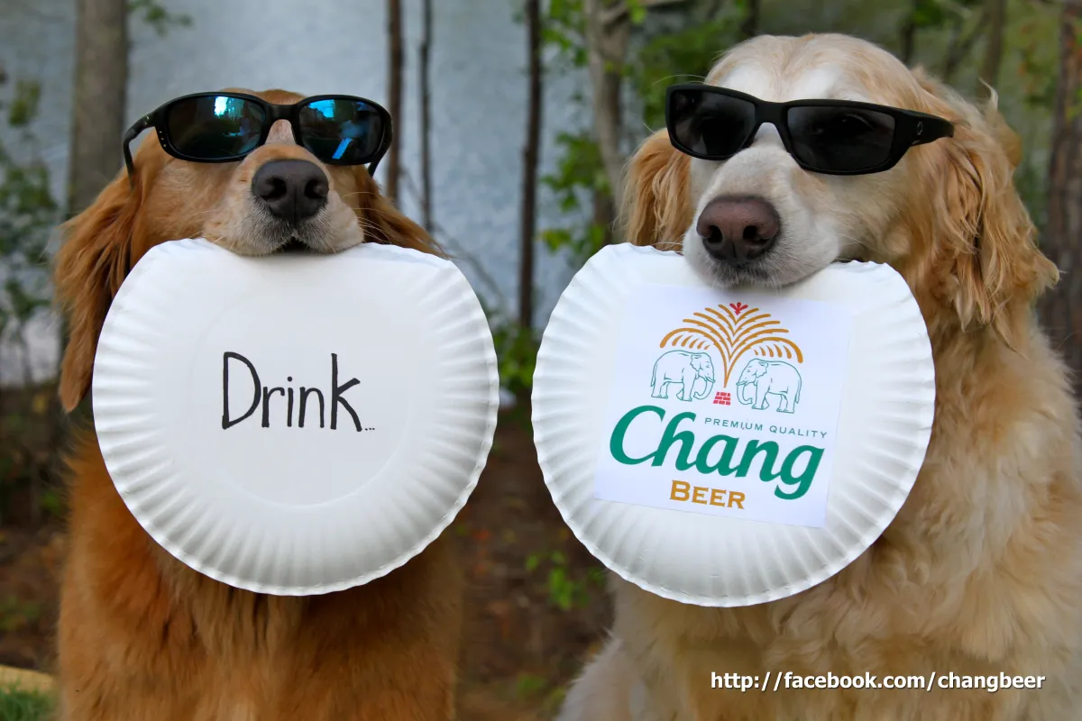 changbeer-04_0