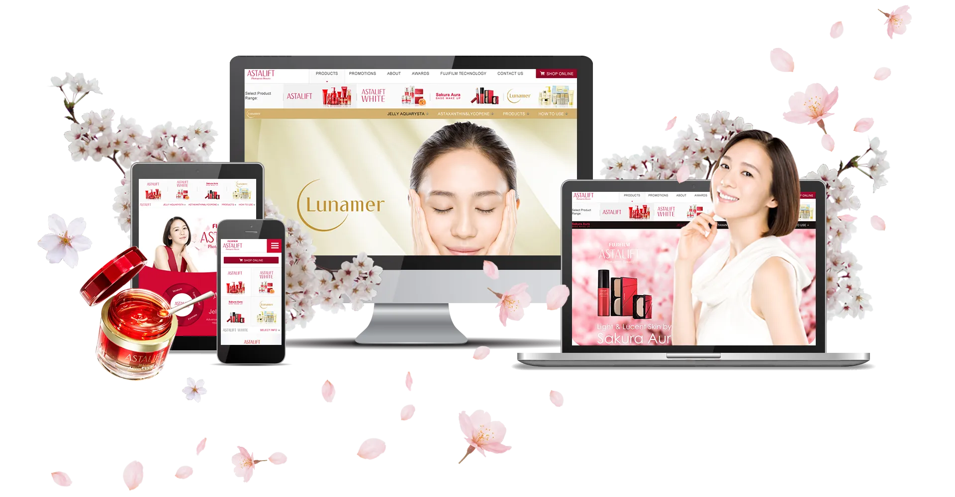 1_Astalift_Website